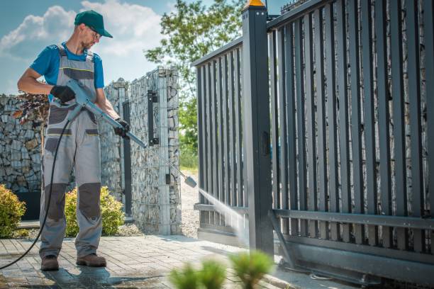 Best Roof Cleaning and Mildew Removal in Dunnellon, FL
