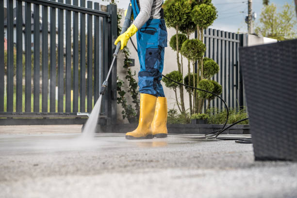 Best Vinyl Siding Pressure Washing in Dunnellon, FL